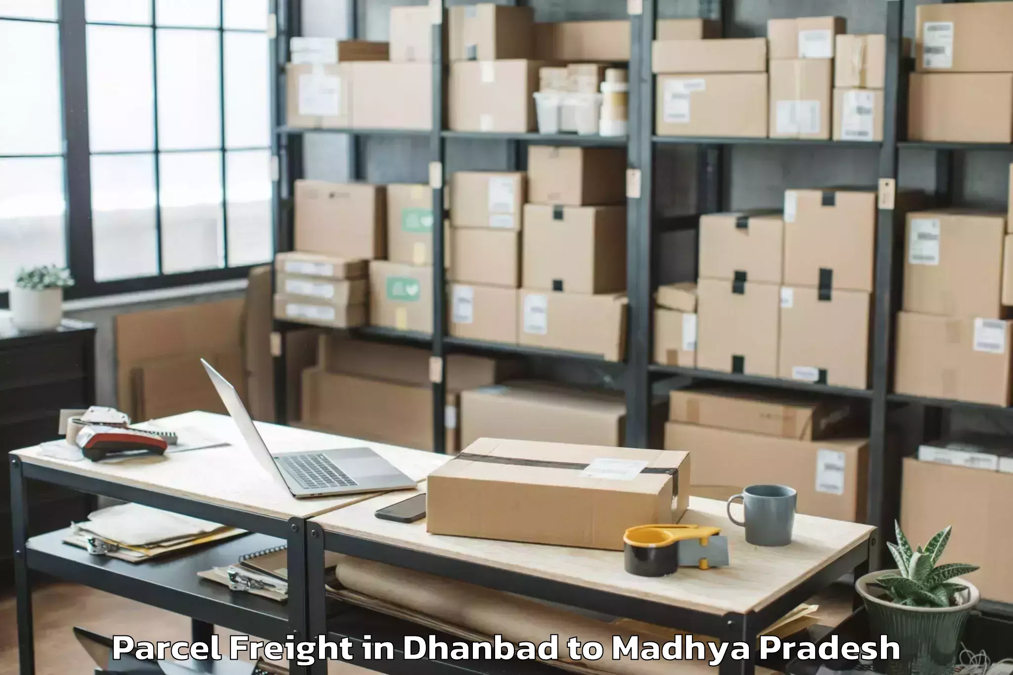 Top Dhanbad to Sanwer Parcel Freight Available